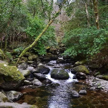 Хостел International Кілларні