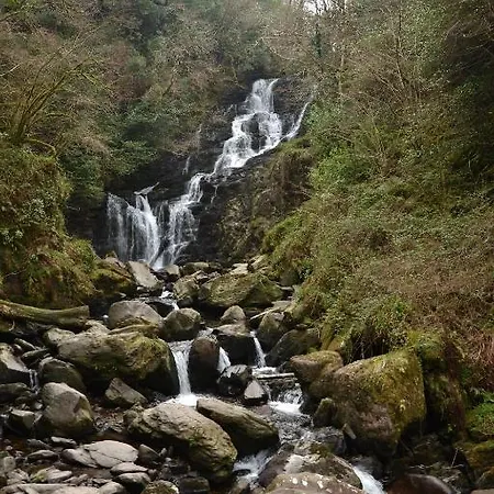 Хостел International *