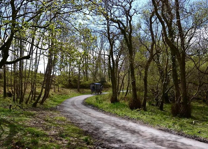 International * Кілларні