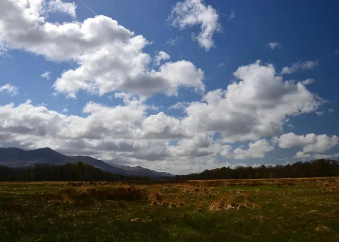 Хостел International *