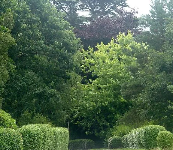 International Хостел *