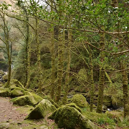 International קיל איירן