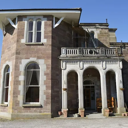 International אכסניה *