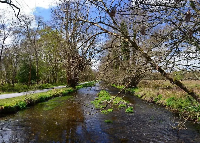 International אכסניה