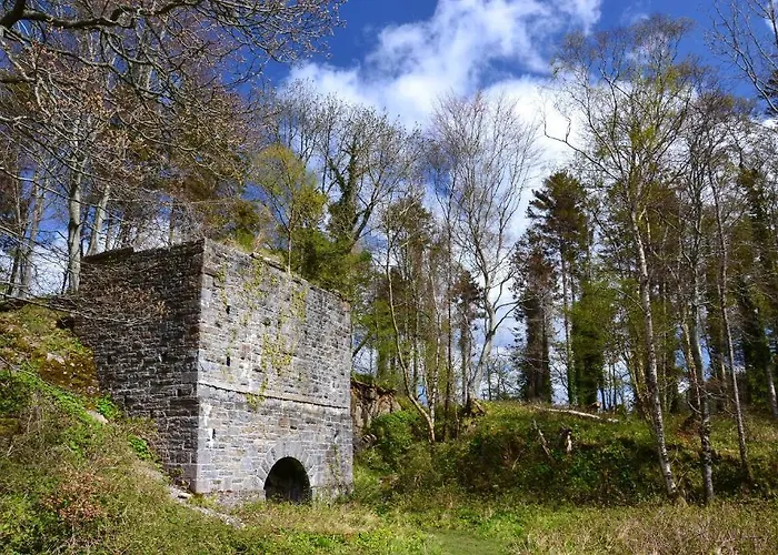 אכסניה International