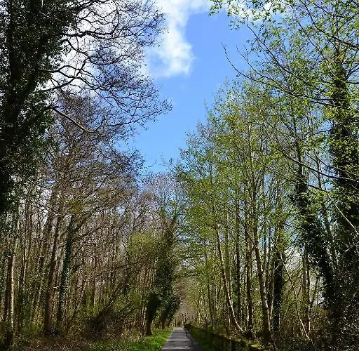 International אכסניה קיל איירן