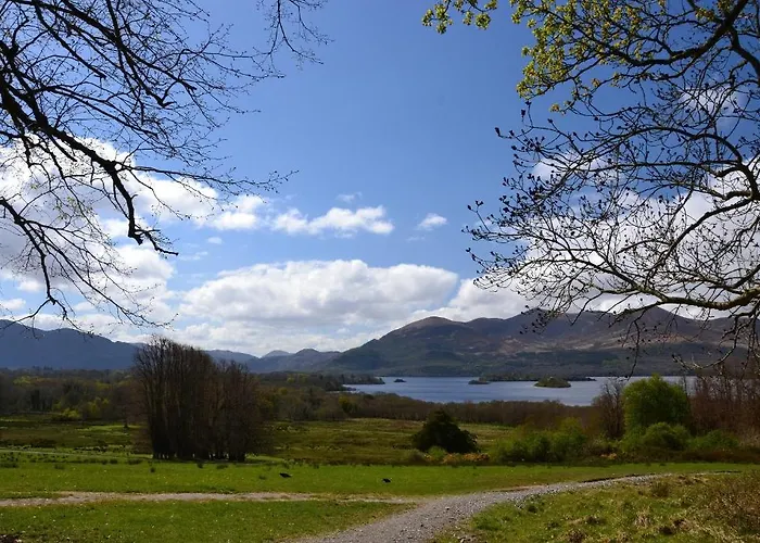 International אכסניה