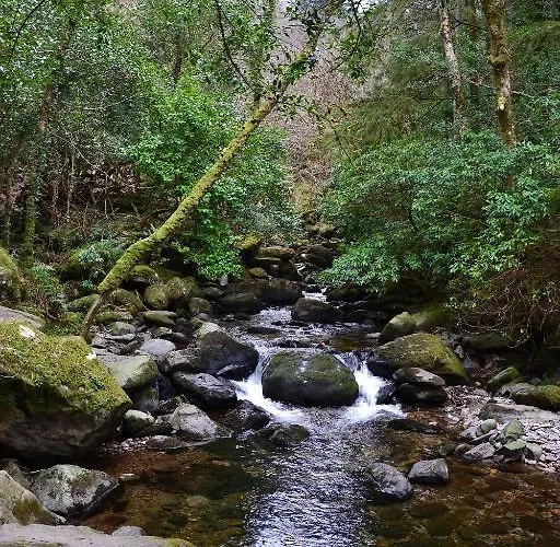 אכסניה International קיל איירן