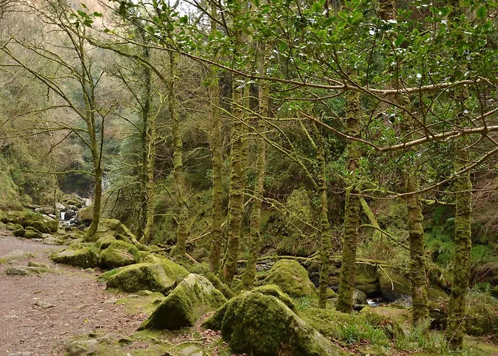 International קיל איירן