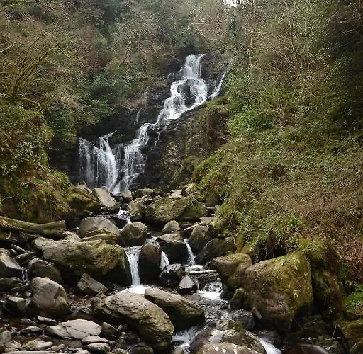 אכסניה International *